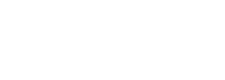 ICES 005