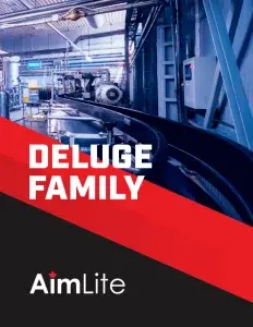 DELUGE-COVER-ENGLISH-232x300.png