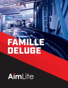 DELUGE-COVER-FRENCH-232x300.png